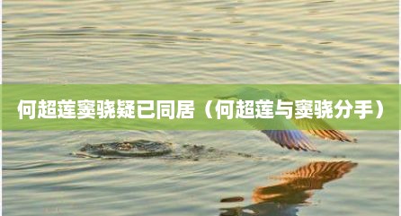 何超莲窦骁疑已同居（何超莲与窦骁分手）