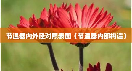 节温器内外径对照表图（节温器内部构造）