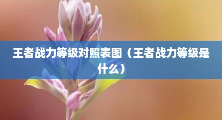 王者战力等级对照表图（王者战力等级是什么）