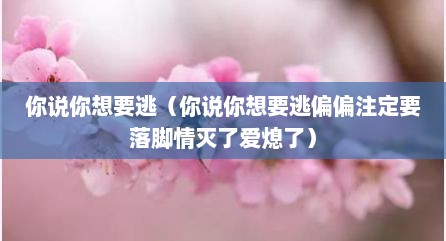 你说你想要逃（你说你想要逃偏偏注定要落脚情灭了爱熄了）