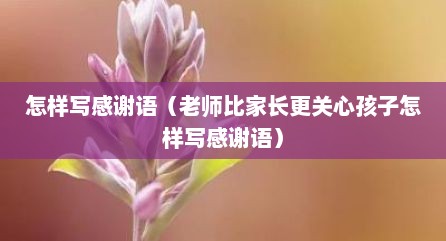 怎样写感谢语（老师比家长更关心孩子怎样写感谢语）