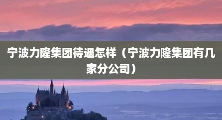 宁波力隆集团待遇怎样（宁波力隆集团有几家分公司）