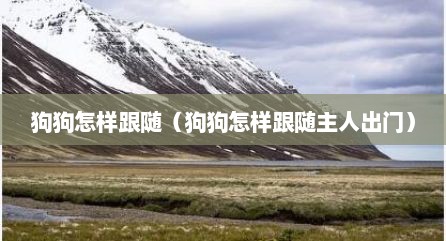 狗狗怎样跟随（狗狗怎样跟随主人出门）