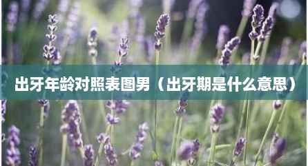 出牙年龄对照表图男（出牙期是什么意思）