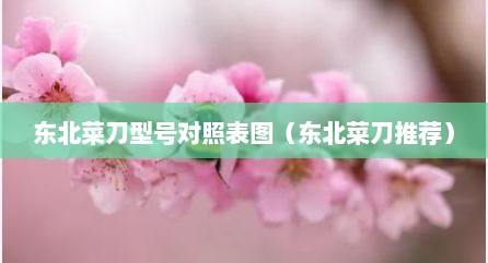东北菜刀型号对照表图（东北菜刀推荐）