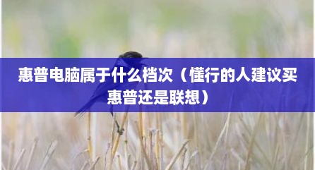 惠普电脑属于什么档次（懂行的人建议买惠普还是联想）