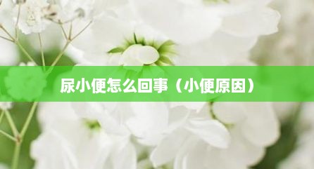 尿小便怎么回事（小便原因）