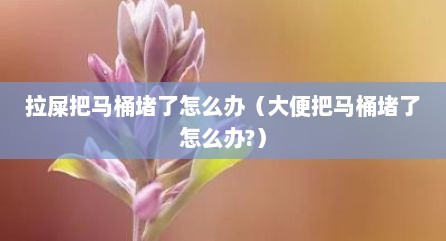 拉屎把马桶堵了怎么办（大便把马桶堵了怎么办?）