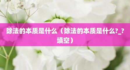 除法的本质是什么（除法的本质是什么?_?填空）