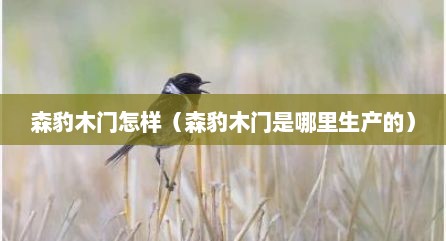 森豹木门怎样（森豹木门是哪里生产的）