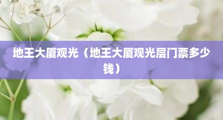 地王大厦观光（地王大厦观光层门票多少钱）
