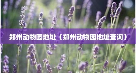 郑州动物园地址（郑州动物园地址查询）
