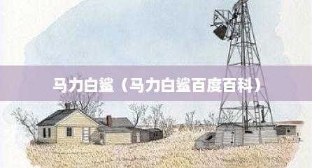 马力白鲨（马力白鲨百度百科）