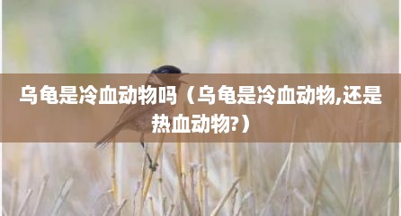 乌龟是冷血动物吗（乌龟是冷血动物,还是热血动物?）