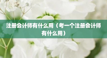 注册会计师有什么用（考一个注册会计师有什么用）