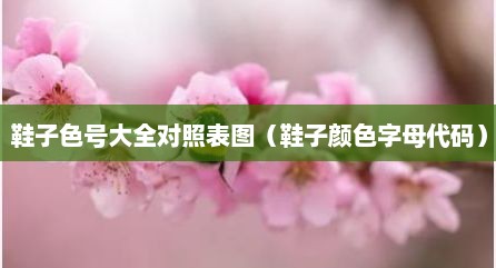 鞋子色号大全对照表图（鞋子颜色字母代码）