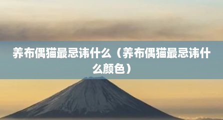 养布偶猫最忌讳什么（养布偶猫最忌讳什么颜色）