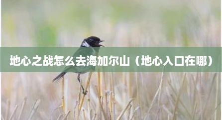地心之战怎么去海加尔山（地心入口在哪）