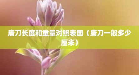 唐刀长度和重量对照表图（唐刀一般多少厘米）