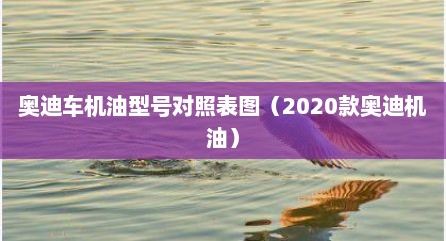 奥迪车机油型号对照表图（2020款奥迪机油）