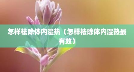 怎样祛除体内湿热（怎样祛除体内湿热最有效）