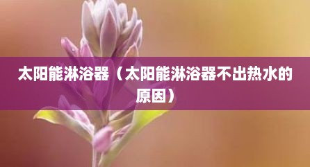 太阳能淋浴器（太阳能淋浴器不出热水的原因）