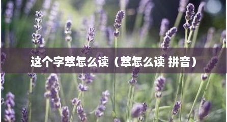 这个字萃怎么读（萃怎么读 拼音）
