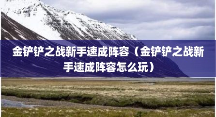 金铲铲之战新手速成阵容（金铲铲之战新手速成阵容怎么玩）