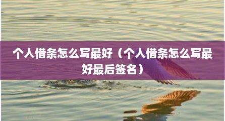 个人借条怎么写最好（个人借条怎么写最好最后签名）