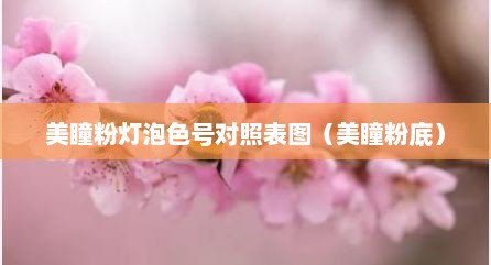 美瞳粉灯泡色号对照表图（美瞳粉底）