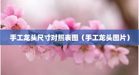 手工龙头尺寸对照表图（手工龙头图片）