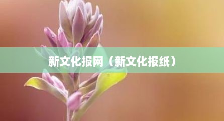 新文化报网（新文化报纸）