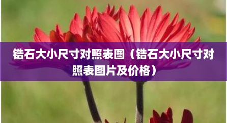 锆石大小尺寸对照表图（锆石大小尺寸对照表图片及价格）
