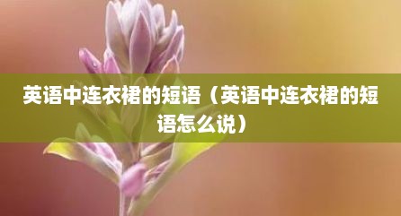 英语中连衣裙的短语（英语中连衣裙的短语怎么说）