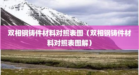 双相钢铸件材料对照表图（双相钢铸件材料对照表图解）