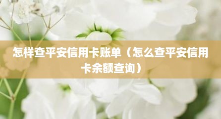 怎样查平安信用卡账单（怎么查平安信用卡余额查询）