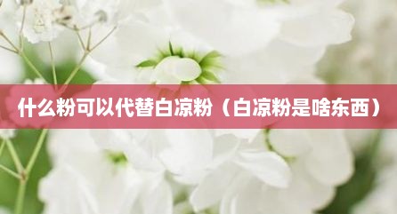 什么粉可以代替白凉粉（白凉粉是啥东西）