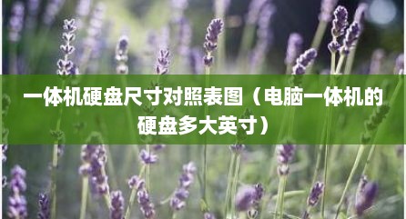 一体机硬盘尺寸对照表图（电脑一体机的硬盘多大英寸）