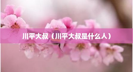 川平大叔（川平大叔是什么人）