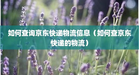 如何查询京东快递物流信息（如何查京东快递的物流）
