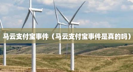 马云支付宝事件（马云支付宝事件是真的吗）