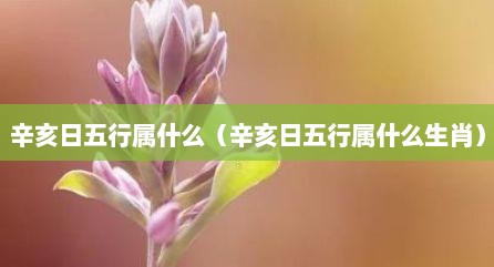 辛亥日五行属什么（辛亥日五行属什么生肖）