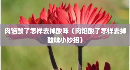 肉馅酸了怎样去掉酸味（肉馅酸了怎样去掉酸味小妙招）