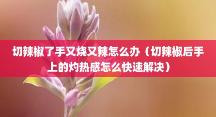 切辣椒了手又烧又辣怎么办（切辣椒后手上的灼热感怎么快速解决）