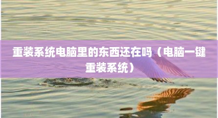 重装系统电脑里的东西还在吗（电脑一键重装系统）