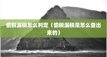 偷税漏税怎么判定（偷税漏税是怎么查出来的）