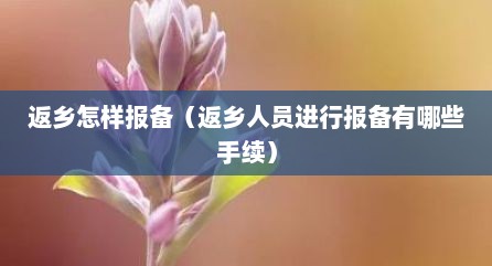 返乡怎样报备（返乡人员进行报备有哪些手续）