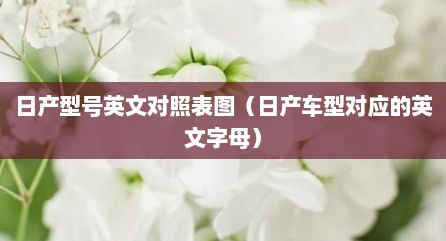 日产型号英文对照表图（日产车型对应的英文字母）