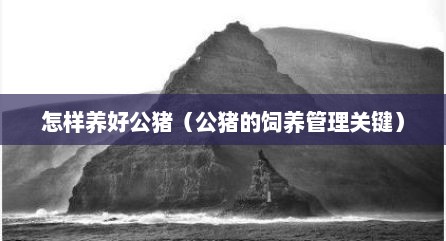 怎样养好公猪（公猪的饲养管理关键）
