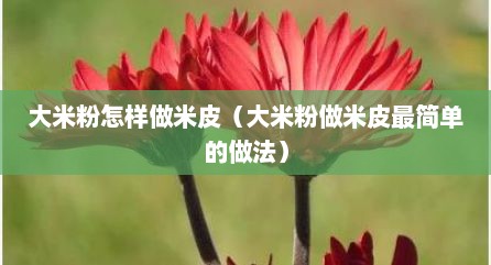 大米粉怎样做米皮（大米粉做米皮最简单的做法）